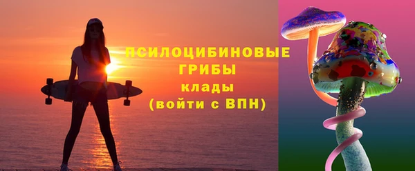 альфа пвп Заволжск