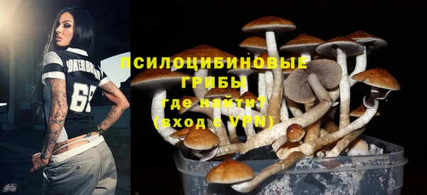 альфа пвп Заволжск