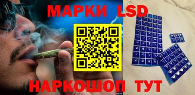 2c-b Кингисепп