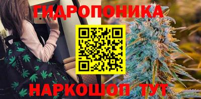 хмурый Кимры