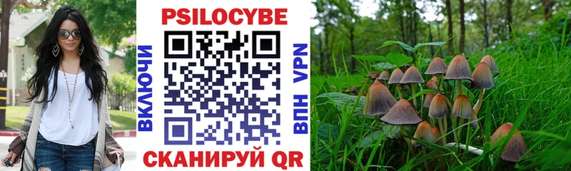 omg ССЫЛКА  Урюпинск  Псилоцибиновые грибы Cubensis 
